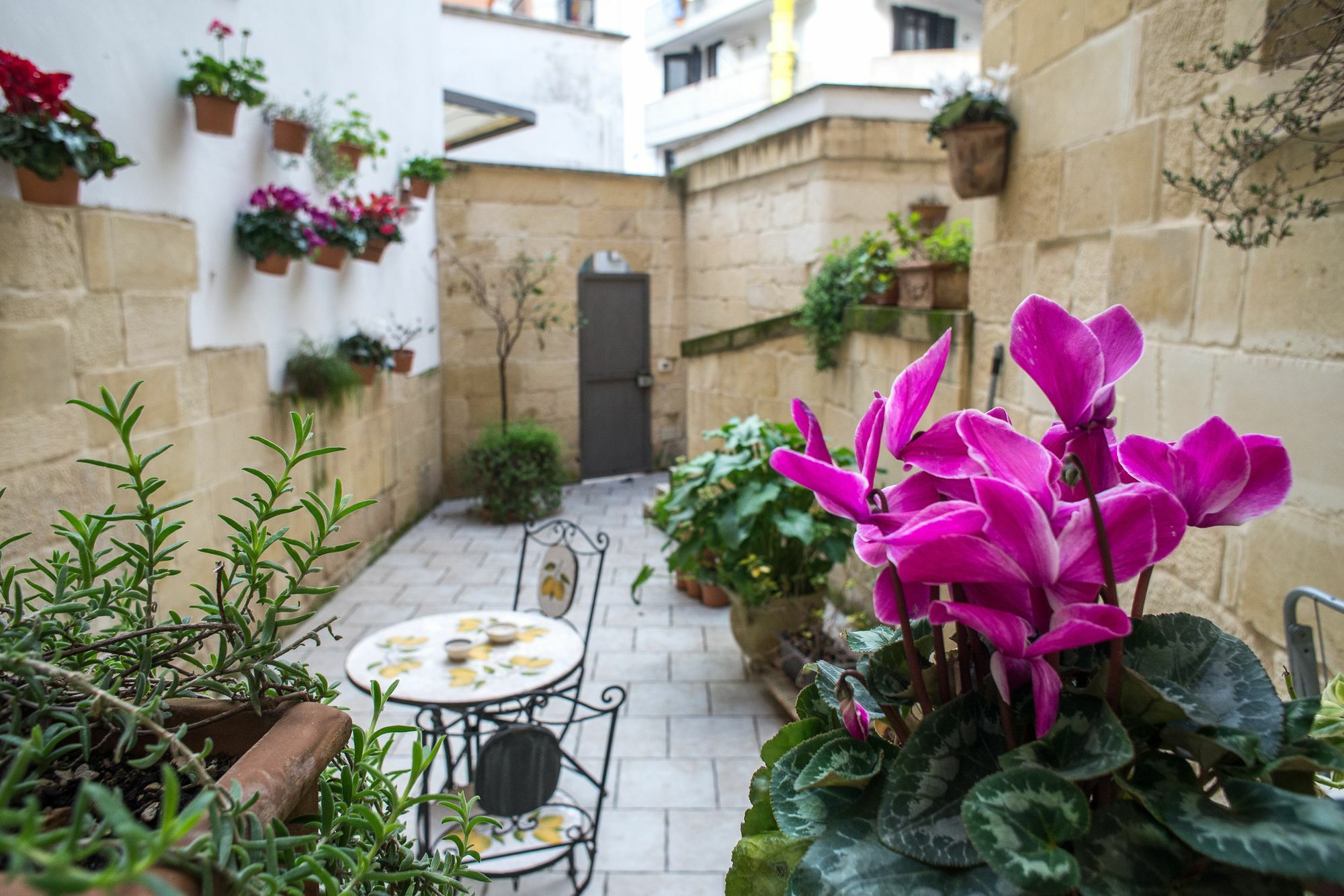 19Venti Bed & Breakfast Lecce Bagian luar foto